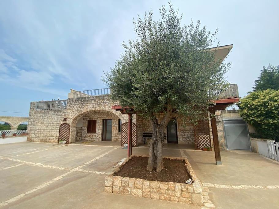 Villa Coco Monopoli Dış mekan fotoğraf